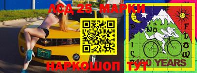 прущие грибы Кулебаки