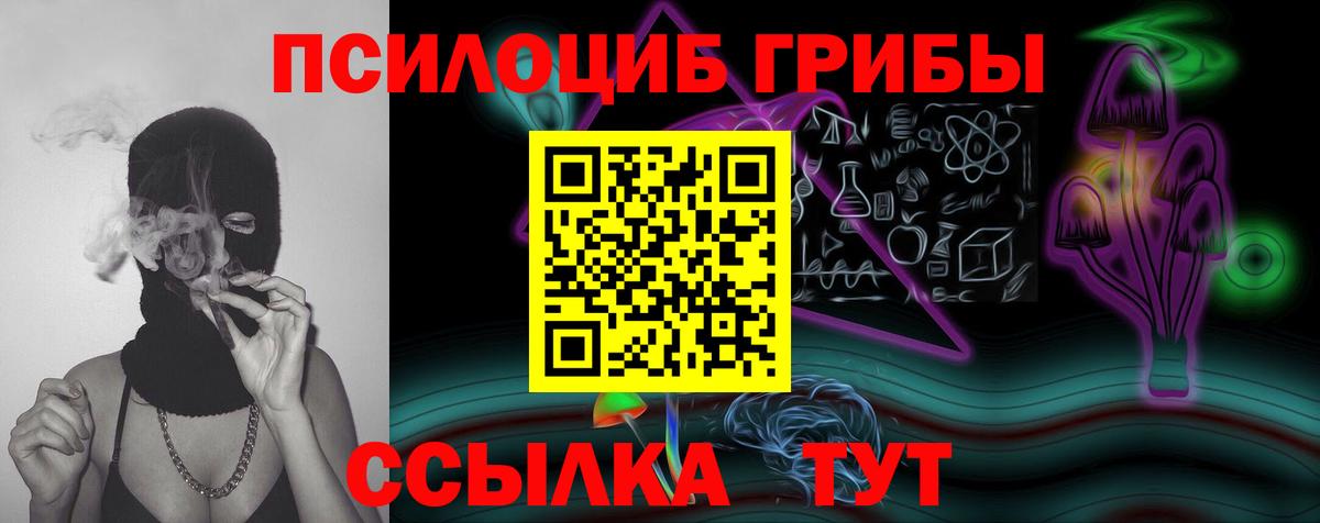 Глазов  Псилоцибиновые грибы мицелий  даркнет сайт  Вход с VPN  Псилоцибиновые грибы прущие грибы 